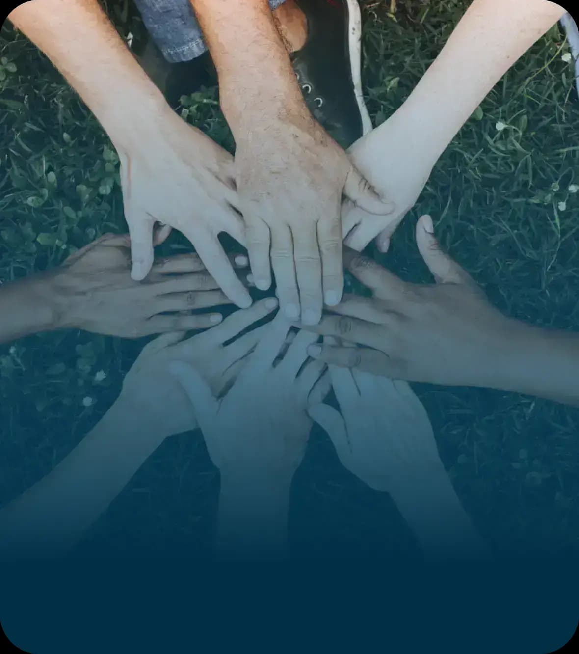 Integrity and
 Transparency