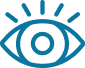 Vision Icon